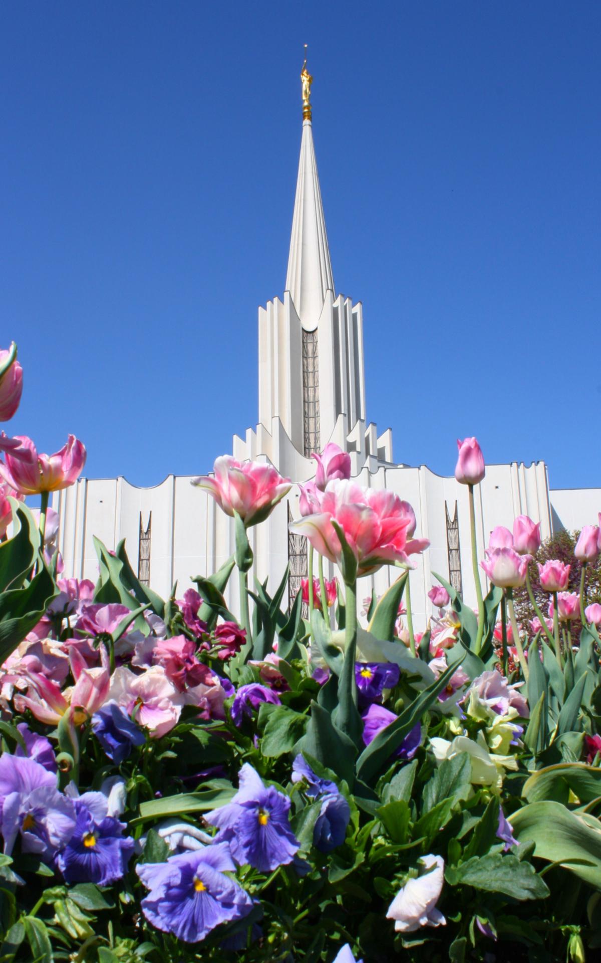 HOME | jordan-river-temple