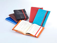 ガルフストリーム