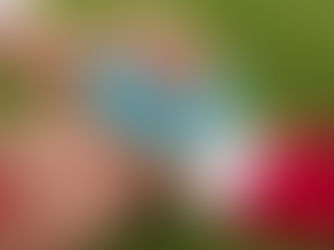 To Ice or not to Ice?