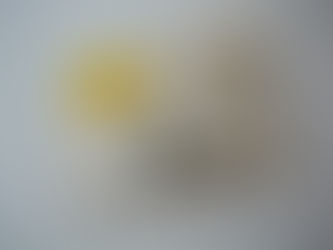 2月、3月のスケジュール案内