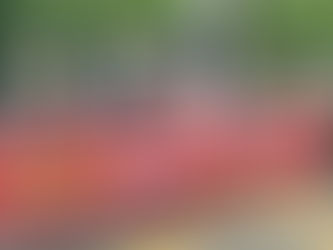 [스카이데일리 보도] KBS정상화범국민투쟁본부, 언론노조 세력 척결 선언.