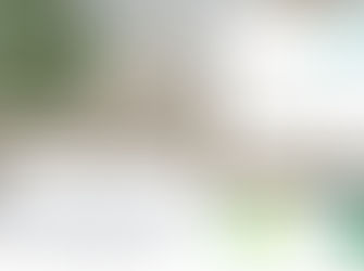 Promo Printemps 2026