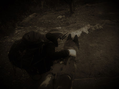 How to be Alone in the Night