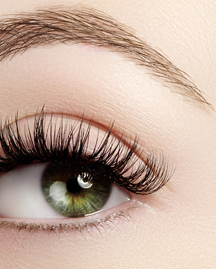 lang Lashes