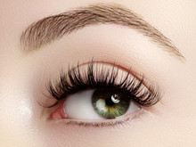 How to Get Thicker Eyebrows & Eyelashes