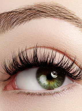 Longueur Cils
