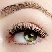 Close-Up Eye