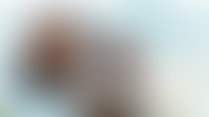 Chocolate Peanut Butter Cookies