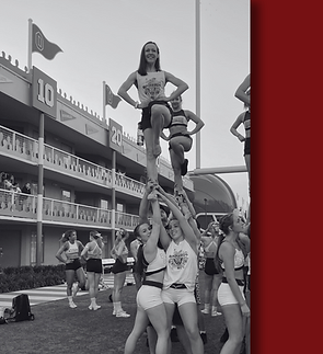 website program graphics.png