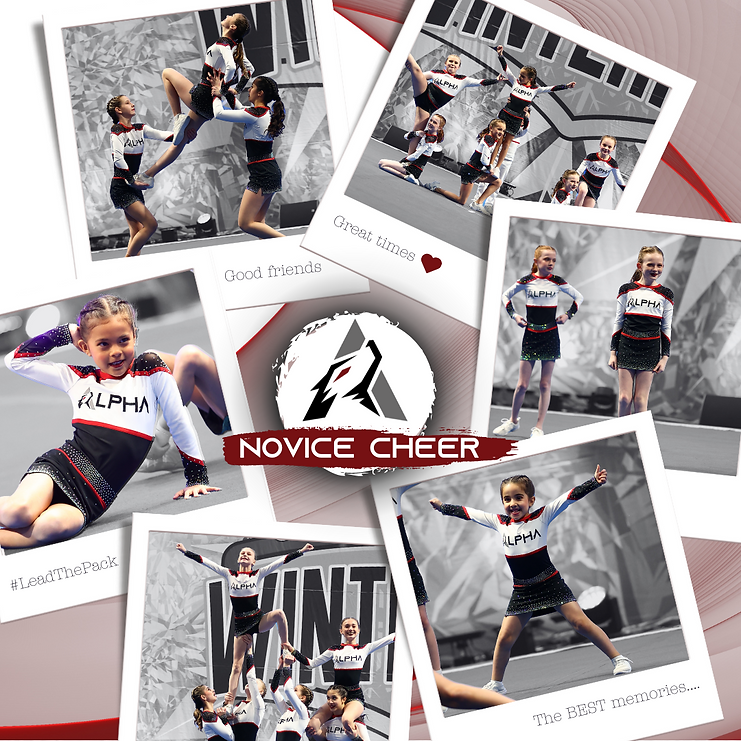 Novice Collage.png