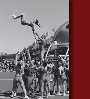 Elite comp program graphic.png