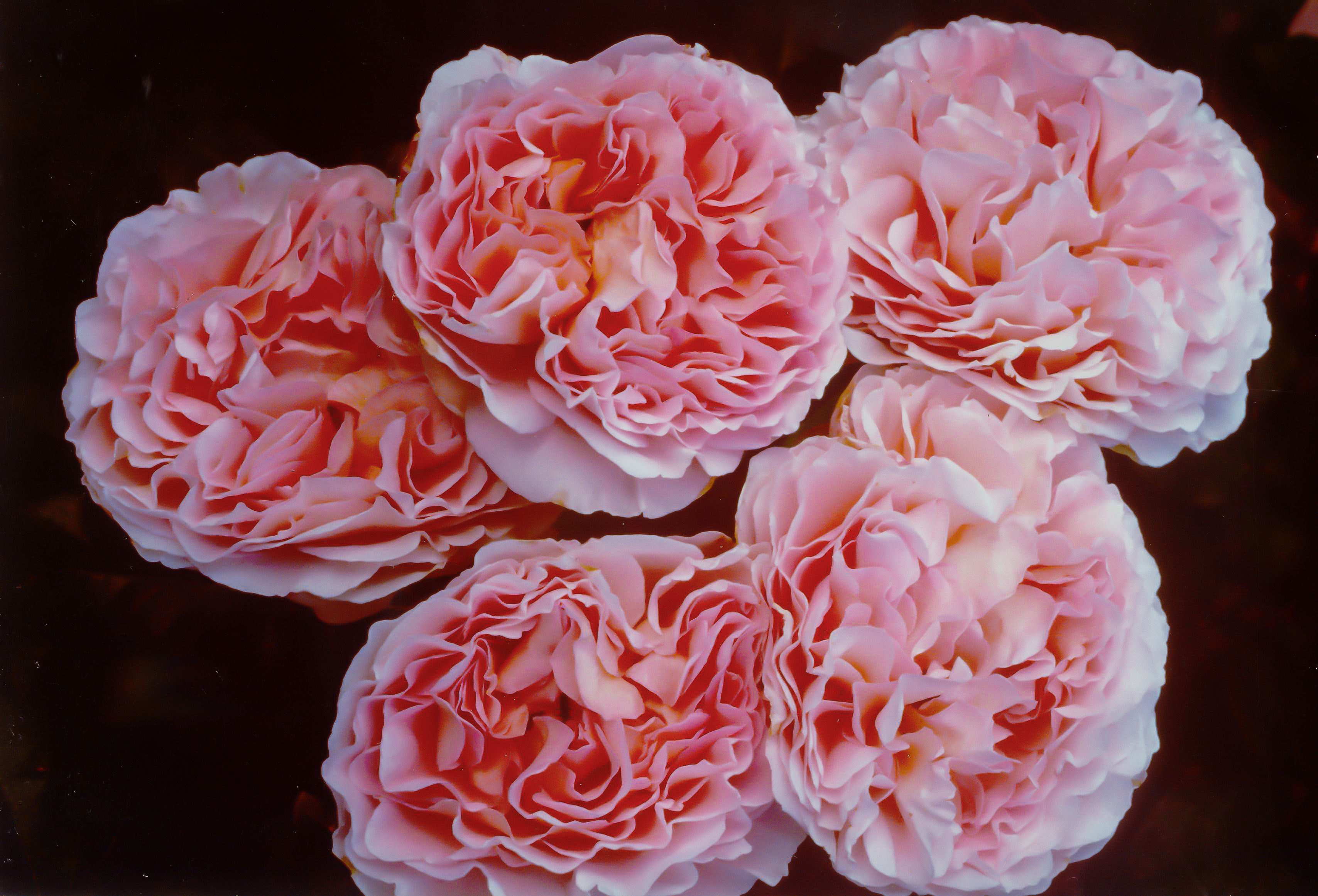 Abraham Darby