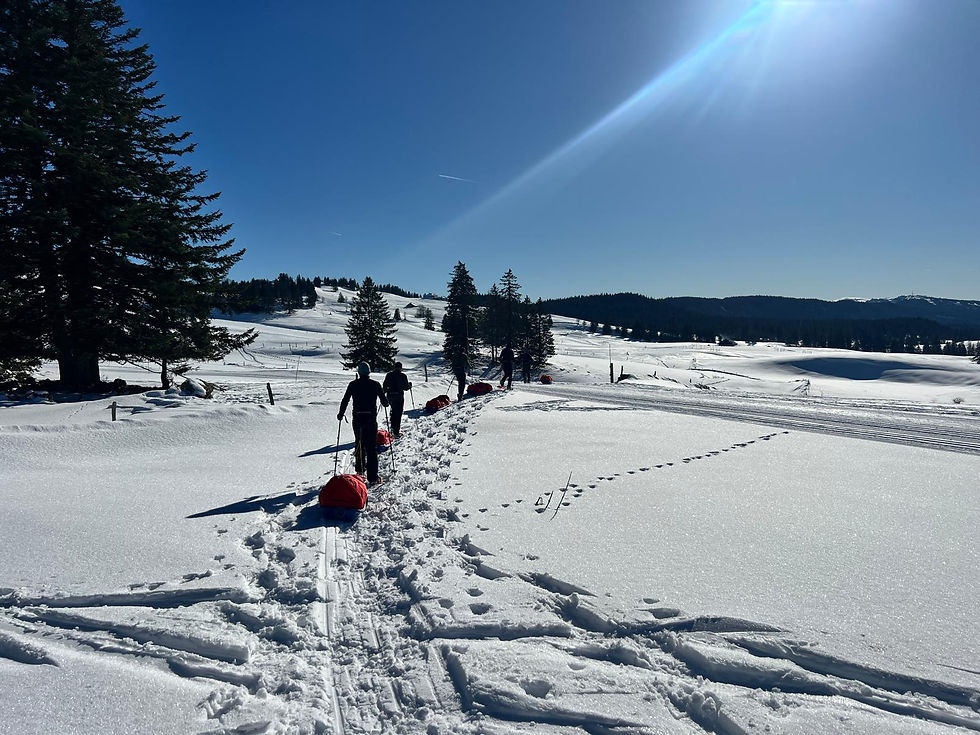 Polar Training