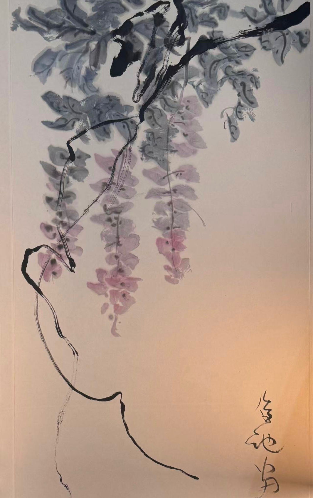 Wisteria