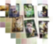 Reiki tarot for spiritual guidance