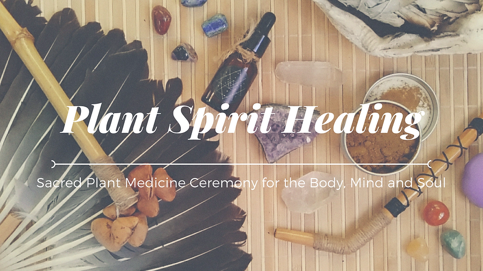 Plant Spirit Healing with Râpé