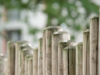 Boundaries and Mindfulness during the Holidays