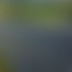 Projekt farmy PV - jak do tego podejść?