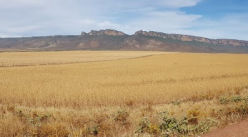 Liefling Seun van die Sandrivier