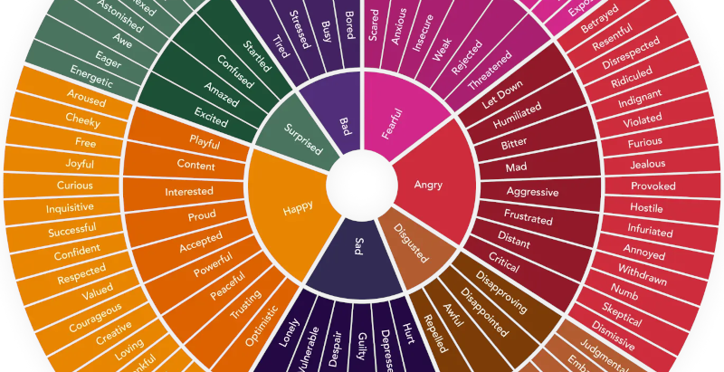 Feelings Wheel