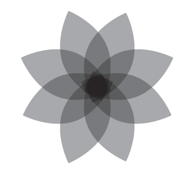 צילום מסך 2024-07-26 בשעה 15.41.43.png