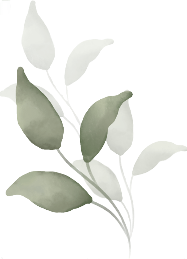 Screenshot (372)_edited_edited.png