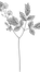 Botanical Line Work Illustration_edited.