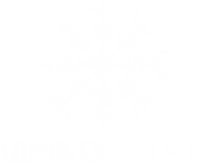 Image of Viking Detail