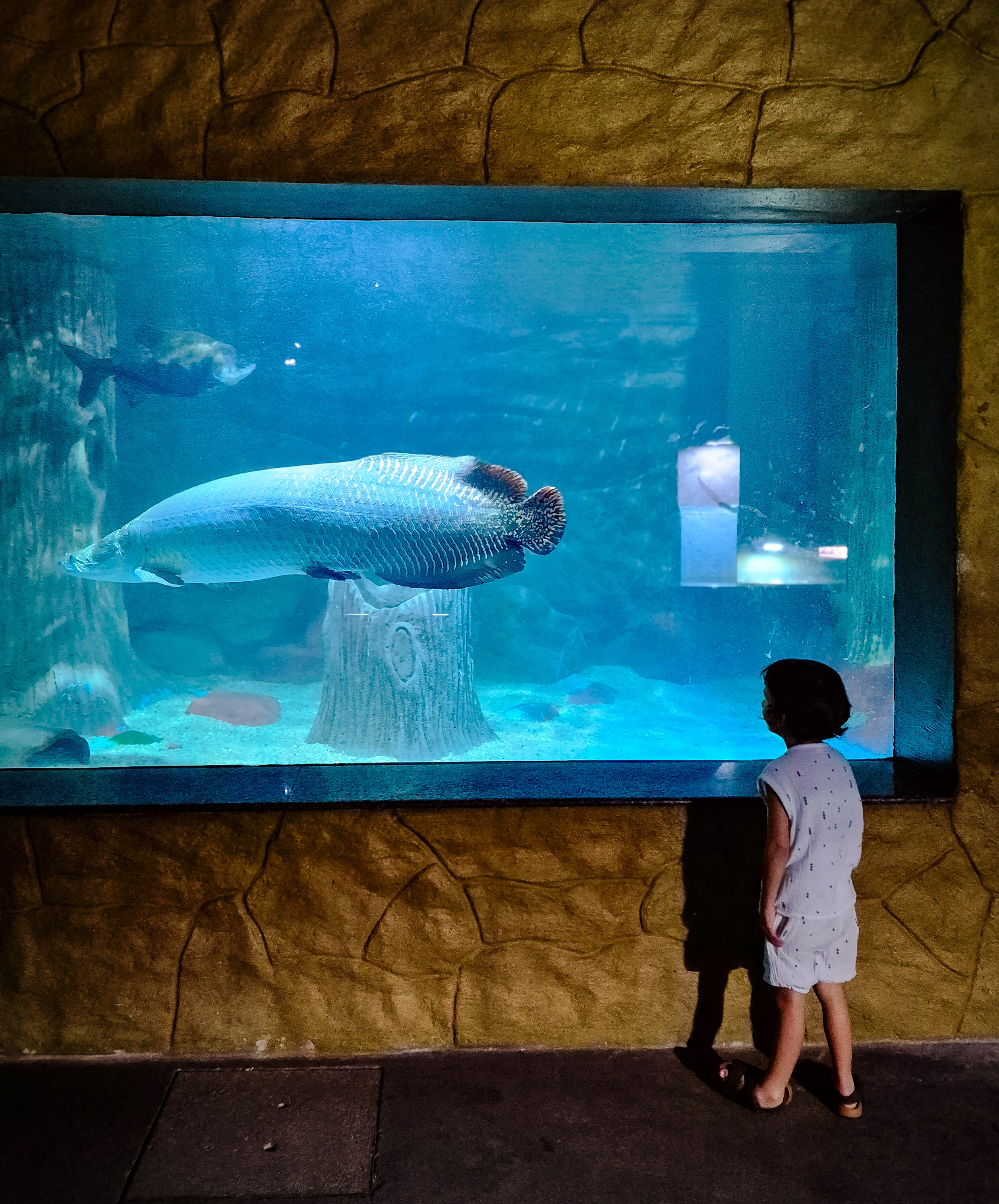 Aquario Zoo em Natal RN
