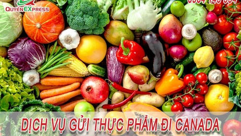 Dịch vụ gửi thực phẩm đi Canada giá rẻ, nhanh chóng