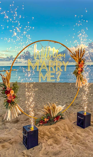 hawaii_proposal_with_gold_arch_and_cold_sparks.jpg