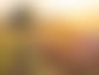 Balsas plantou e agora colhe o resultado