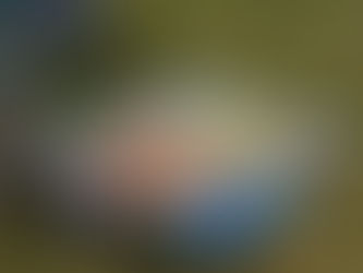 projectdag schilderkunst voor vierde jaar