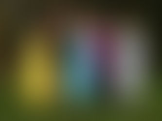 100 dagen - groepsfoto's