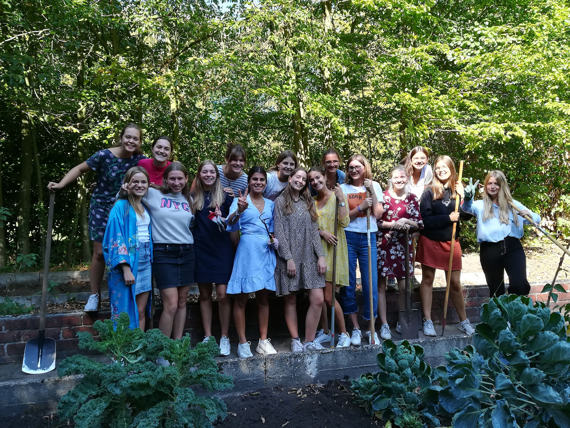 IMG_20180918_131159