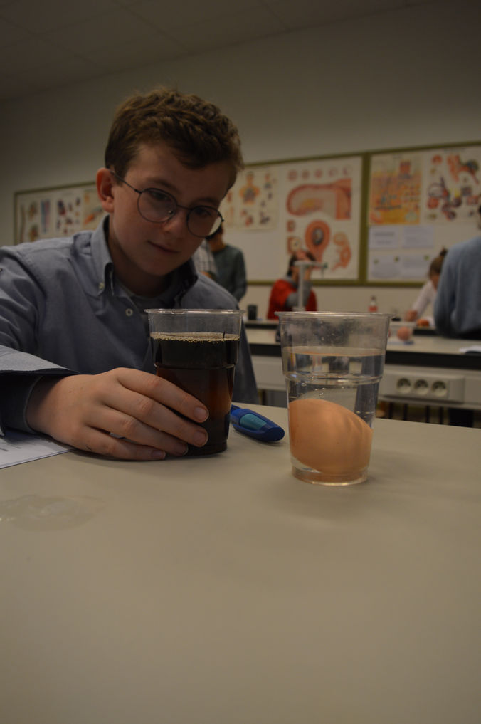 LAB-projecten in de eerste moderne