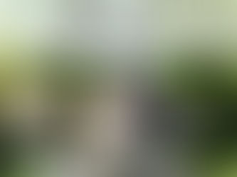 Welkom op onze open dag!