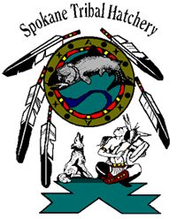 Spokane Tribal Fish Hatchery