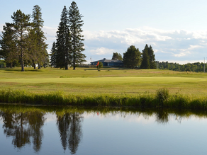 Couples' Night Results - 05/17/19