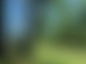 Highview G.C. Hole-in-Ones ~ 2018 Season!