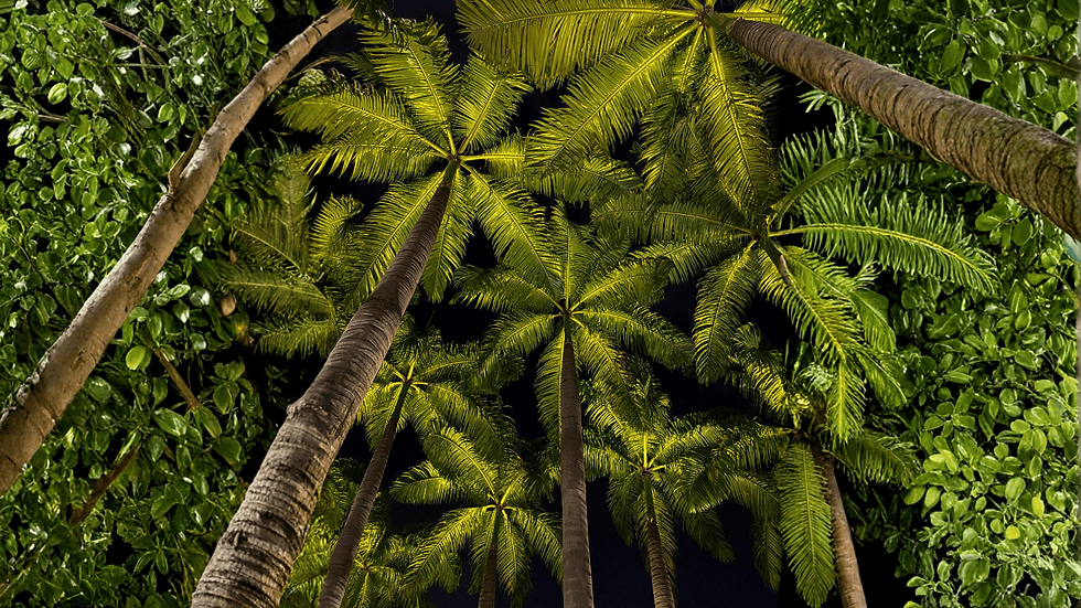 S1 - Tajemnica kości ogonowej- wyjście i prawdziwy układ nerwowy?