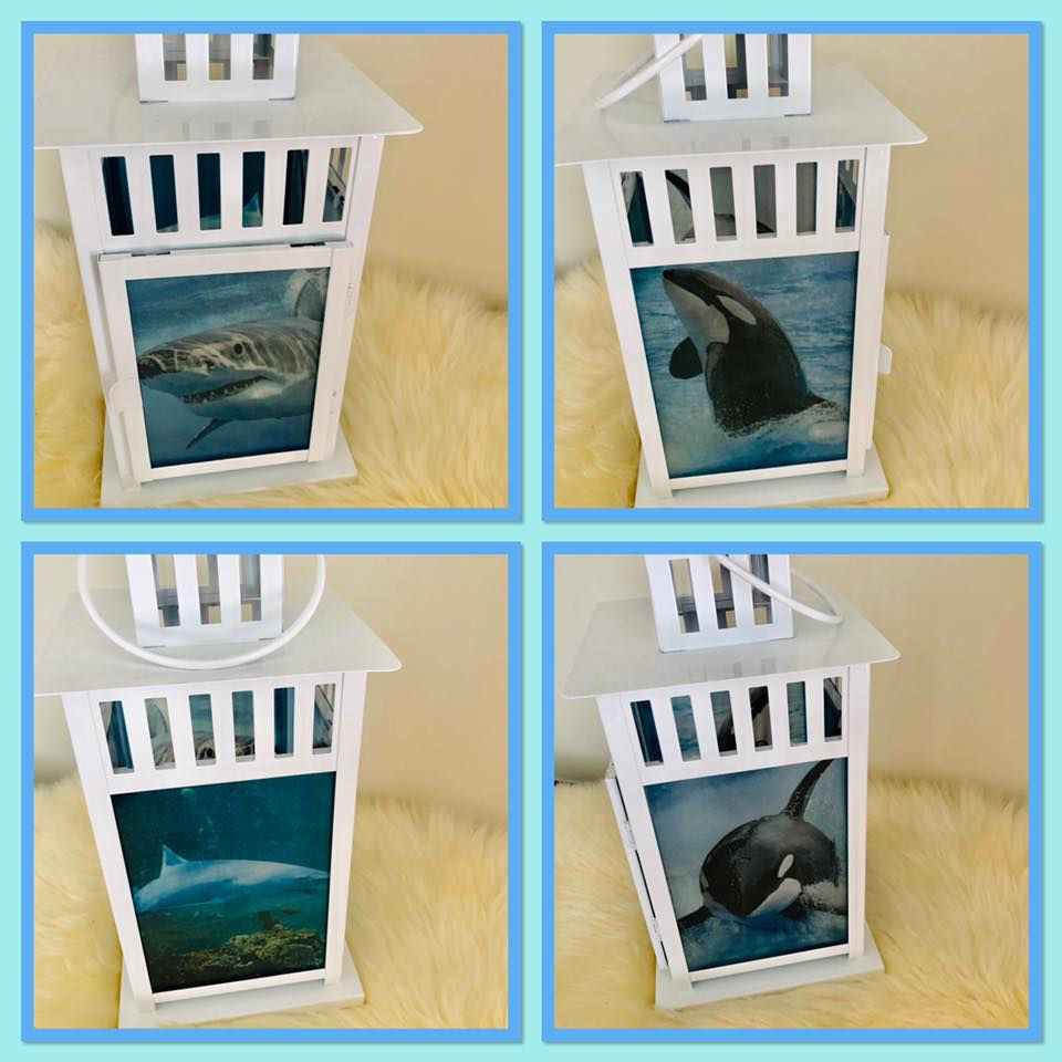 Miniaturbild: Laterne mit Foto