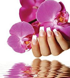 sophea's nail salon