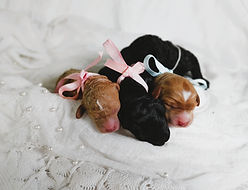 Millie.pax.3day.20260620_113038 (1).jpg