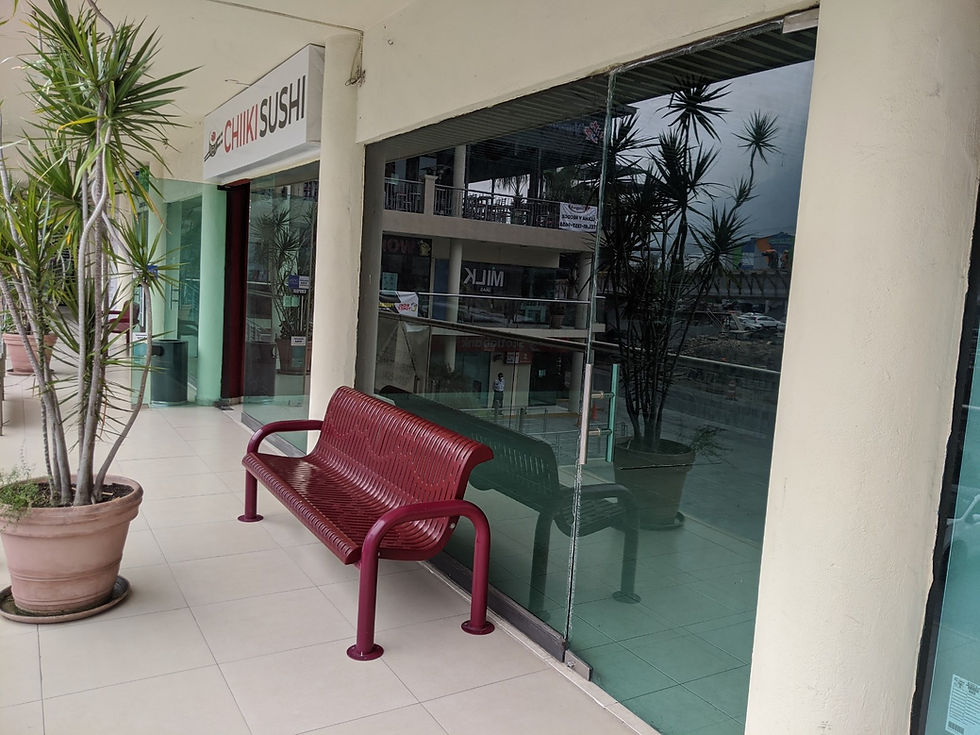 Local 20 Plaza Cumbres Elite Agosto 2020 (4)