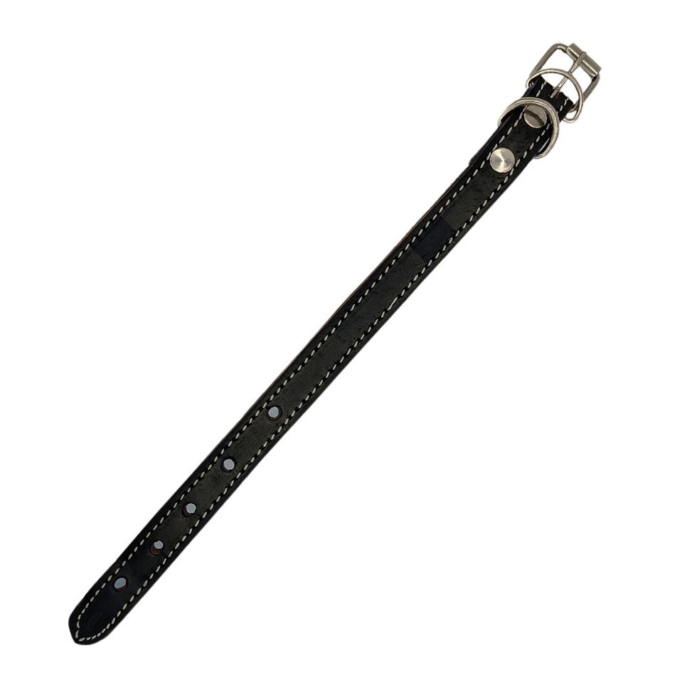 Miniatura: Collar para mascota