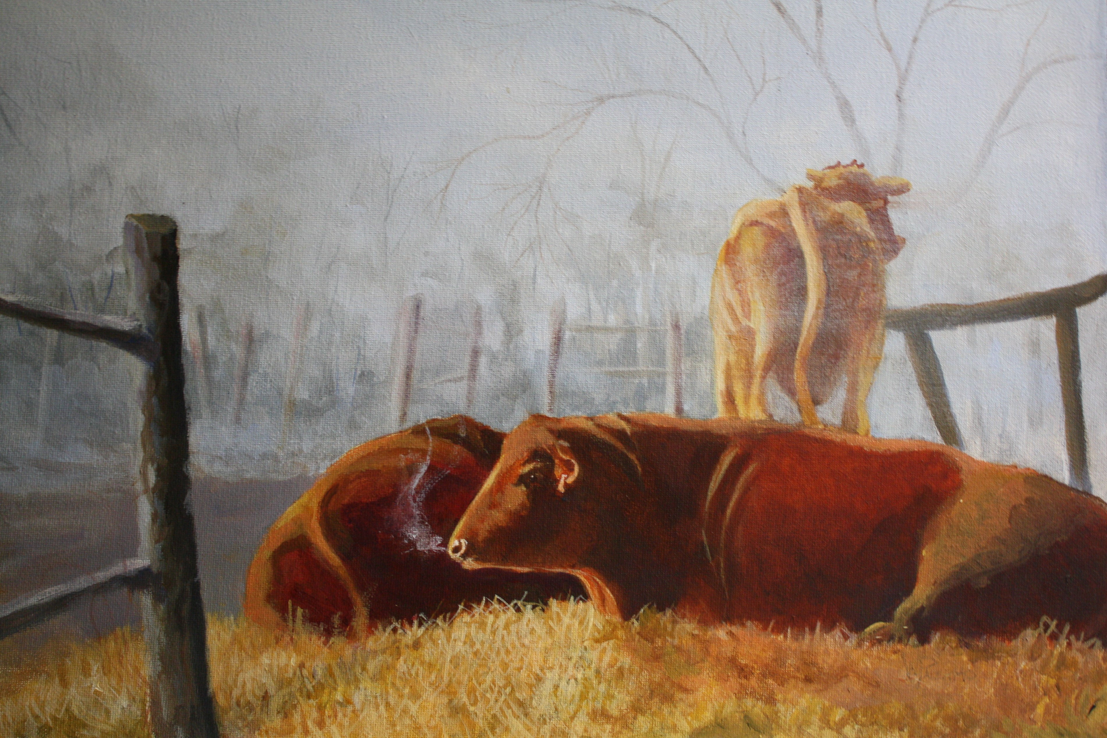 Early Morning & Cows, 20x16" Sold