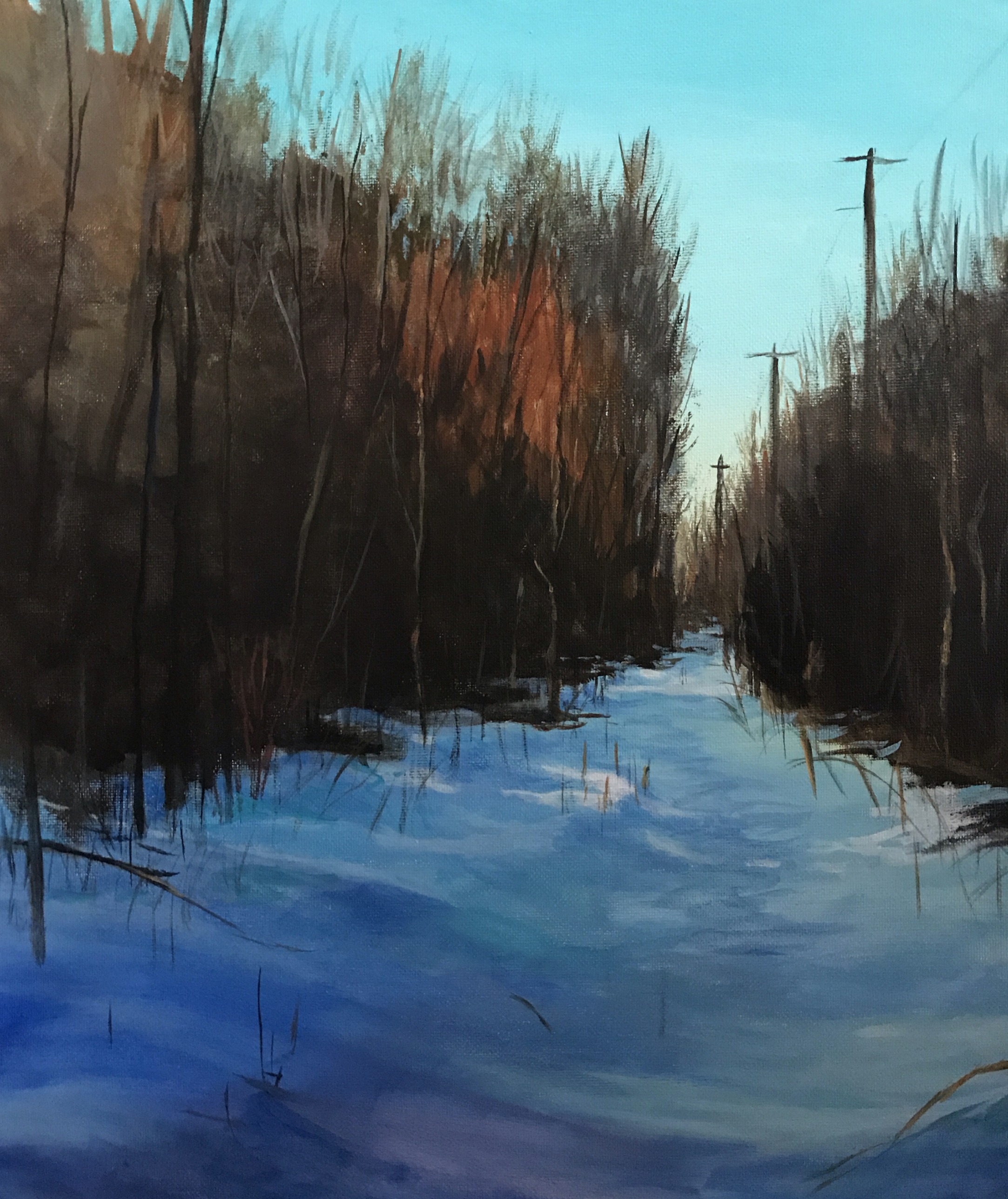 Catching a bit of sun-16x20
