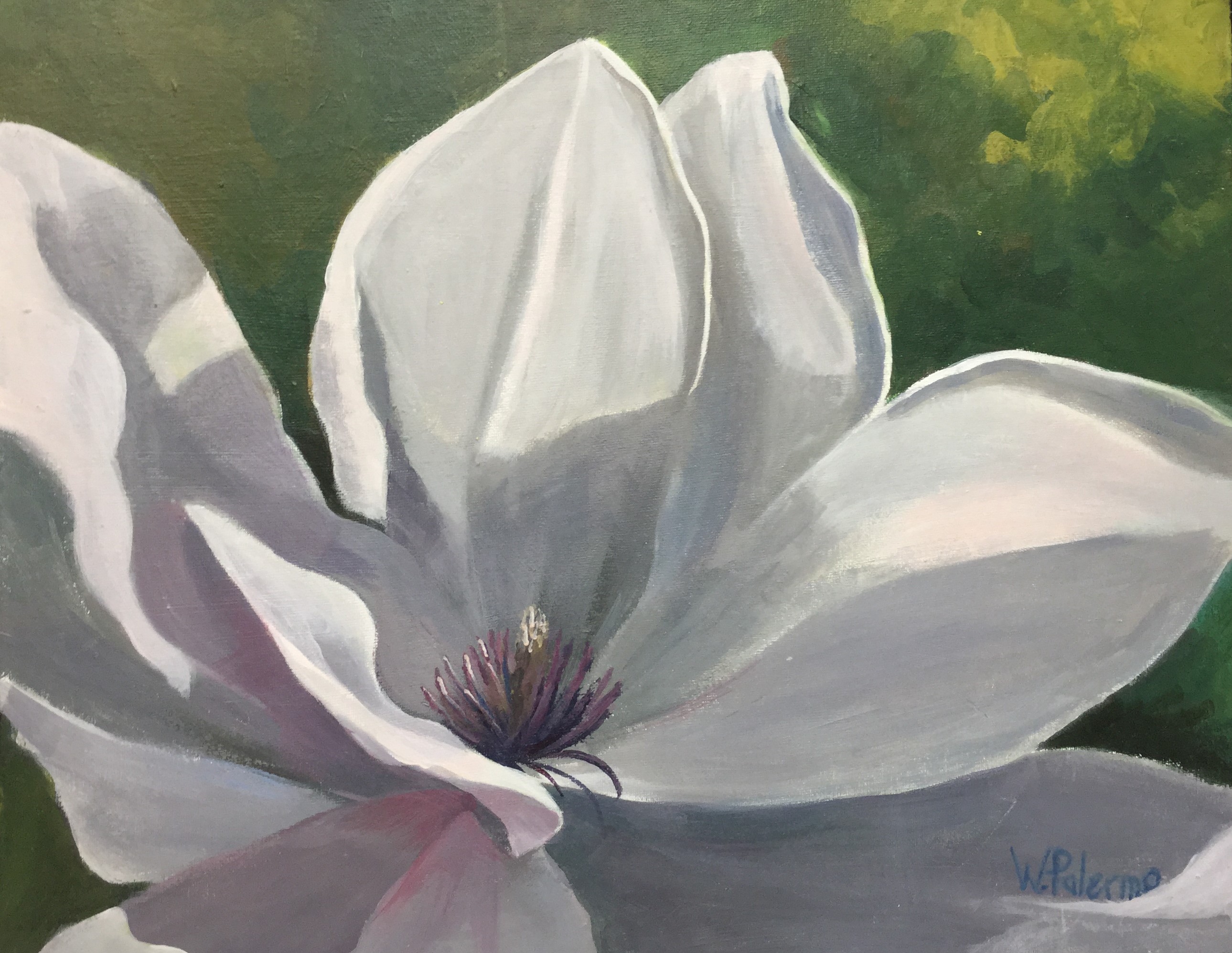 Sweet Magnolia, 20x16"