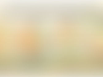 The Four SOF Existential Spaces Model